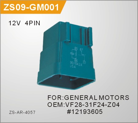 ZS09-GM001