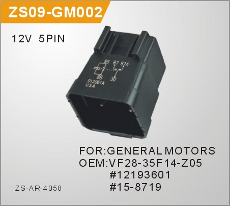 ZS09-GM002