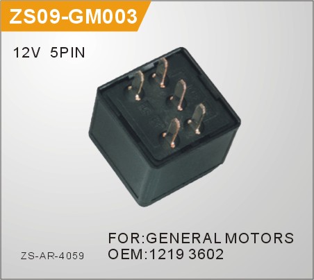 ZS09-GM003