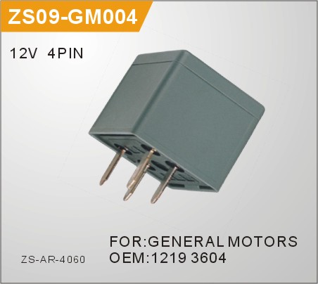 ZS09-GM004