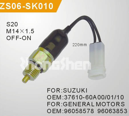 ZS06-SK010